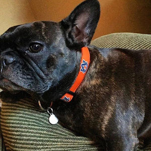 Meet your Posher, Catherine